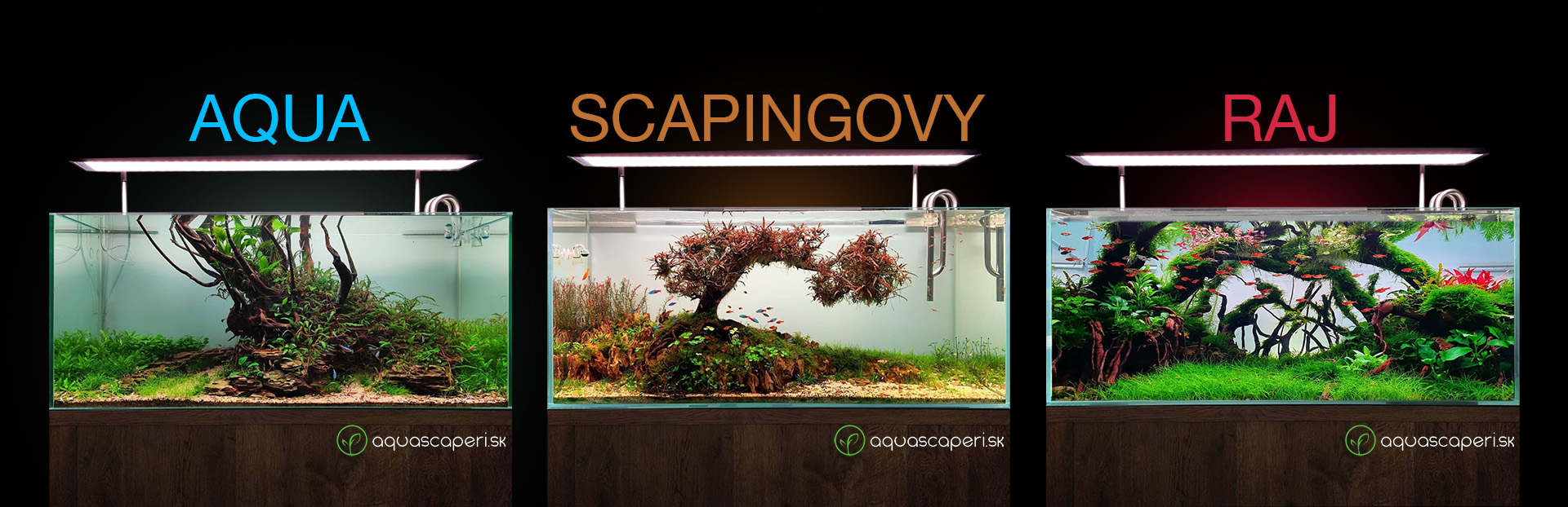 aquascaping banner